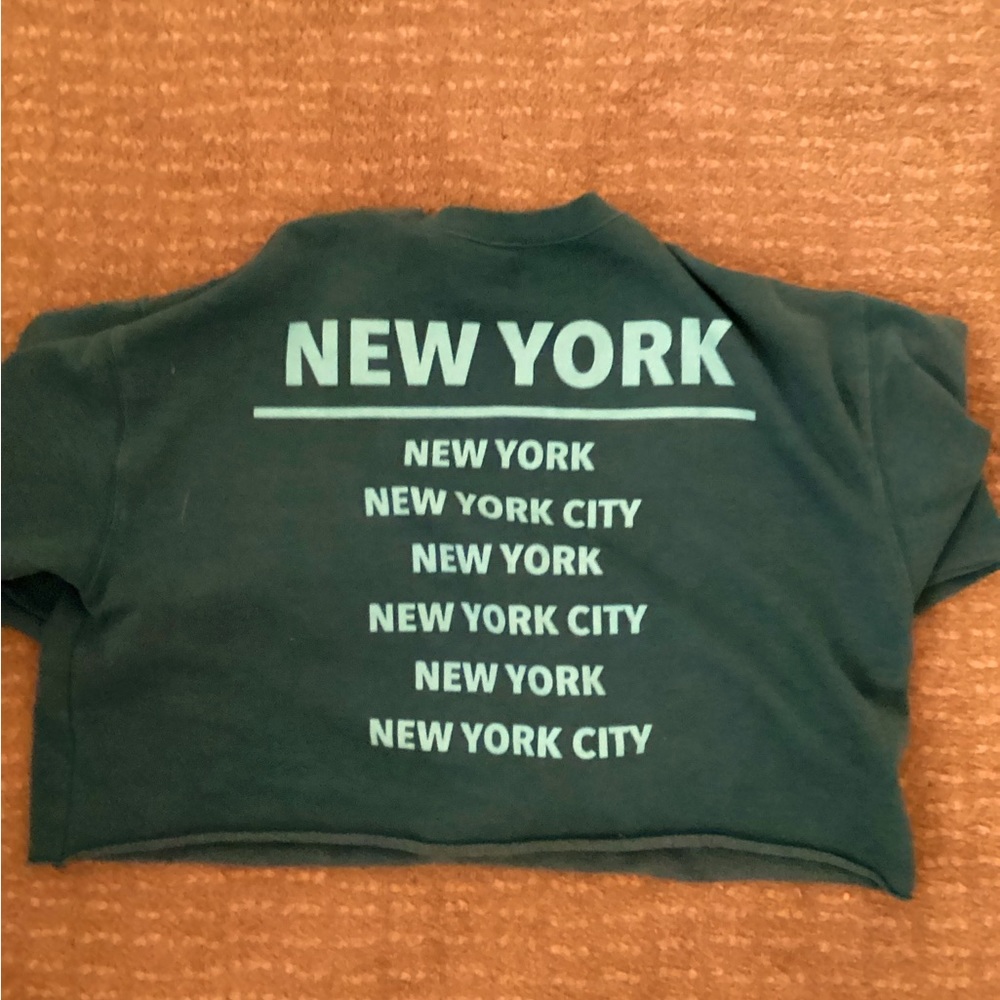 wild fable cropped new york sweater